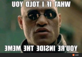 UOY OJOT I 11 TAHW AON.BE INSIDE LHE WEWE reddit