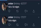 amber @mimsy 6/27/17 Hat e fat nigrs ● amber @mimsy 7/11/17 Hate nigrs 91 27 2 2 [→ ←]