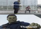 made with mematic The world Incels, socially awkward men, misogynists and normal guys too busy to have a romantic life 100 Thailand