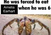 He was forced to eat Amelia when he was 6 Earhart