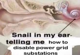 Snail in my ear- telling me how to disable power grid substations