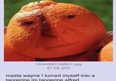 1404489014866(1).jpg 87 KB JPG masta wayne I turned myself into a tangerine im tangerine alfred