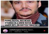 that person is right PEDRO PASCAL HAS NEVER STARRED IN A SHOW RATED UNDER 89% ON ROTTEN TOMATOES walterburgess Neither have I... 2 w 3468 likes Reply