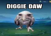 DIGGIE DAW