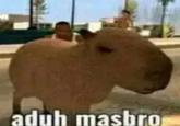 aduh masbro
