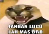 JANGAN LUCU LAH MAS BRO