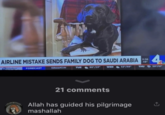 Inshallah He Will Make It To Hajj AIRLINE MISTAKE SENDS FAMILY DOG TO SAUDI ARABIA 11:36 48° Volunteer FORECAST GALMATIN TUE 50°/28° WED 21 comments 53°/38° Allah has guided his pilgrimage mashallah THU 4₁ 50%10