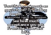 You think coming out as gayishard? Try telling people your favorite race is breton See how much acceptance you get from the "tolerant left