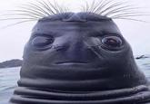 face