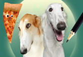 Borzoi