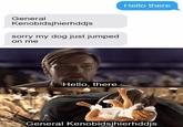 General Kenobidsjhierhddjs sorry my dog just jumped on me Hello, there. Hello there General Kenobidsjhierhddjs