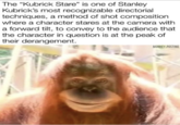 The "Kubrick Stare" is one of Stanley Kubrick's most recognizable directorial techniques, a method of shot composition where a character stares at the camera with a forward tilt, to convey to the audience that the character in question is at the peak of their derangement. MONKEY.POSTING