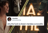 MA chambler @chamblerding why the f--- is shawn mendes a crocodile