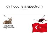 girlhood is a spectrum moonfloweretle wounded baby animal C+
