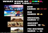 WHAT KIND OF GAMER, ARE YOU? (2023 EDITION) BATTLE ROYALE CHAPTER 4 SON SHINE made with mematic 1301 NEW GAMER OLD GAMER MEDIEVAL GAMER X ANCIENT GAMER 100 100 PRE-HISTORIC GAMER
