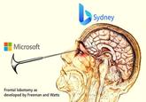 Microsoft Frontal lobotomy as developed by Freeman and Watts Sydney