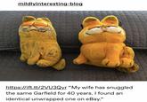 mildlyinteresting-blog 20 https://ift.tt/2VU3Qyr "My wife has snuggled the same Garfield for 40 years. I found an identical unwrapped one on eBay."