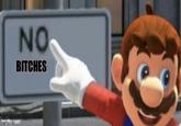 NO BITCHES incaplic.com