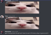117 Refreshed Today at 13:46 GIF Yana Today at 13:46 GIF Refreshed Today at 13:46 god i f------ hate this gif and i have to see it 70 times a day, im gonna end it