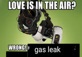 LOVE IS IN THE AIR? WRONG! gas leak