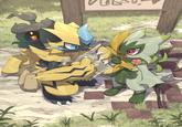 Zeraora, an explorer who asks for directions, and Floragato, a neighborhood kid who answers that question.