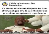 Y deja tu lo guapo, Soy Bioquimico La célula muriendo después de que el virus al que ayudó a sintetizar sus proteínas rompiera su membrana CROMOSOMAS POLITÉNICOS La decepción, la traición hermano
