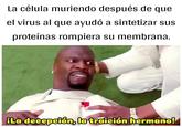 La célula muriendo después de que el virus al que ayudó a sintetizar sus proteínas rompiera su membrana. ¡La decepción, la traición hermano!