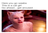 Here you go weebs This is a cat girl Go ahead...get aroused