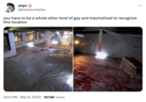 anya @kidultcomplex you have to be a whole other level of gay and traumatized to recognize this location 3:04 PM Mar 8, 2023 107.8K Views ●●●