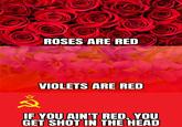 You dead | /r/dankmemes ROSES ARE RED VIOLETS ARE RED 2 IF YOU AIN'T RED, YOU GET SHOT IN THE HEAD
