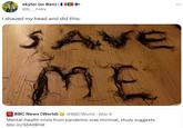 skyler (or Ben) ||| ¹+ @b___nsky I shaved my head and did this: SAVE ME BBC News (World) @BBCWorld. Mar 9 Mental-health crisis from pandemic was minimal, study suggests bbc.in/3ZAOEHD NEWS ...