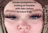 House centipedes be looking at females with fake lashes bricked tf up