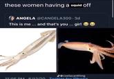 these women having a squid off ANGELA @CANGELA300-3d This is me ... and that's you ... girl @coelacanthing 11:05 PM 6/12/20 Twitter for iPhone