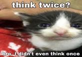 think twice? @softcatmemes bro, I didn't even think once