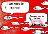 can't wait to be a horse I cant wait to be a Horse Bro we are in