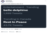 Sankobyte @Sankobyte1 Omg guys belle delphine died oh no Entertainment - Trending belle delphine 1,999 Tweets Trending in Canada Rest In Peace 43.7K Tweets 5:50 PM Mar 16, 2023 298.6K Views . 42 Retweets 11 Quotes 879 Likes :