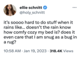 ellie schnitt @holy_schnitt it's soooo hard to do stuff when it rains like... doesn't the rain know how comfy cozy my bed is? does it even care that I am snug as a bug in a rug? 10:58 AM Jan 19, 2023 318.4K Views ● ●
