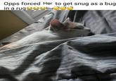 Opps forced Her to get snug as a bug in a rug1666