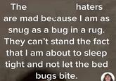 The haters are mad because I am as snug as a bug in a rug. They can't stand the fact that I am about to sleep tight and not let the bed bugs bite.