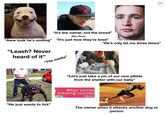 "It's the owner, not the breed" Also them: "Aww look he's smiling" "It's just how they're bred" "Leash? Never heard of it" "The media" "He just wants to lick" "Let's just take a pic of our new pibble from the shelter with our baby" What victim blaming sounds like: O "He's only bit me three times" The owner when it attacks another dog or person