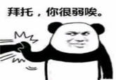 Chinese Panda Memes / Biaoqing Panda Head 拜托,你很弱唉。 以