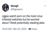 Mowgli @fbgwayno nggas watch p--- on the most virus infested websites but be worried about Tiktok potentially stealing data 10:43 AM Mar 23, 2023. 1M Views ●