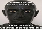 THERE ARE NO HOES HERE GAIUS THIS IS GAUL YOU'RE GOING TO DIE