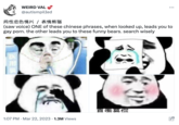 (saw voice) ONE of these chinese phrases, when looked up, leads you to gay p---. the other leads you to these funny bears. search wisely WEIRD VAL @autismpilIed 同性恋色情片 / 表情熊猫 (saw voice) ONE of these chinese phrases, when looked up, leads you to gay p---. the other leads you to these funny bears. search wisely 1:07 PM Mar 22, 2023 1.3M Views : 直击算你