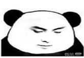 Disappointed Chinese Panda } 微茶 WXCHA .com