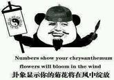 Chinese Panda Meme Numbers show your chrysanthemum flowers will bloom in the wind 卦象显示你的菊花将在风中绽放