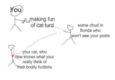 You Amaking fun of cat turd your cat, who now knows what your really think of their bodily fuctions some chud in florida who won't see your posts