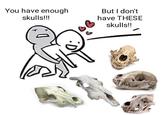 You have enough skulls!!! But I don't have THESE skulls!!