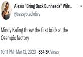 Alexis "Bring Back Bunheads” Wils... @sassyblackdiva Mindy Kaling threw the first brick at the Ozempic factory 10:11 PM Mar 12, 2023 834.3K Views
