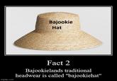 imgflip.com Www M Bajookie Hat Fact 2 Bajookielands traditional headwear is called "bajookiehat"